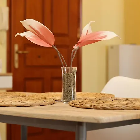 Virginia's Apartamento Ermoupoli