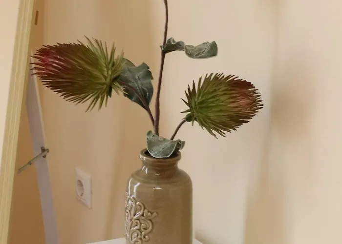 Virginia's Ermoupoli